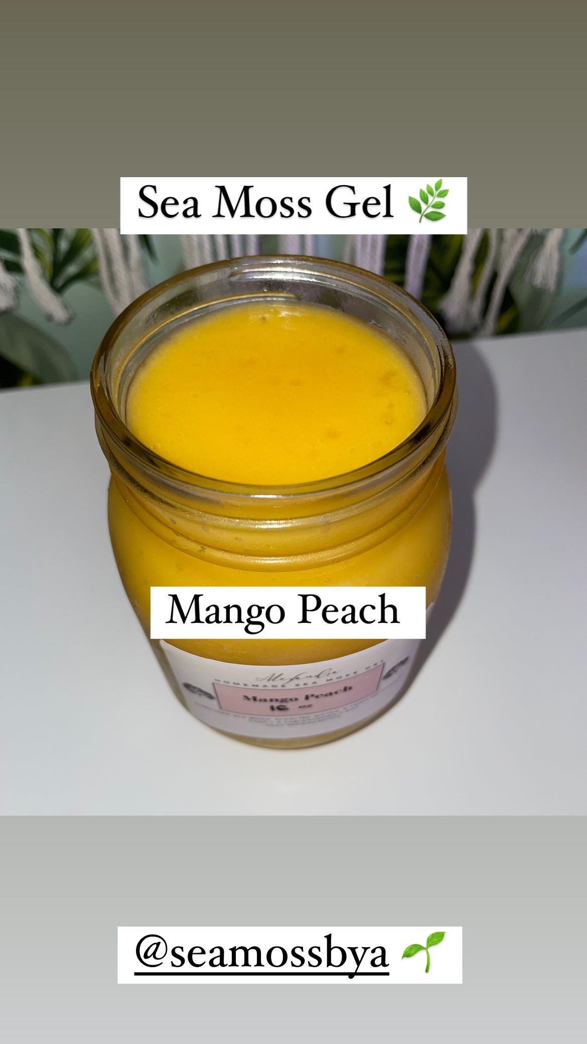 Mango Peach Sea Moss Gel